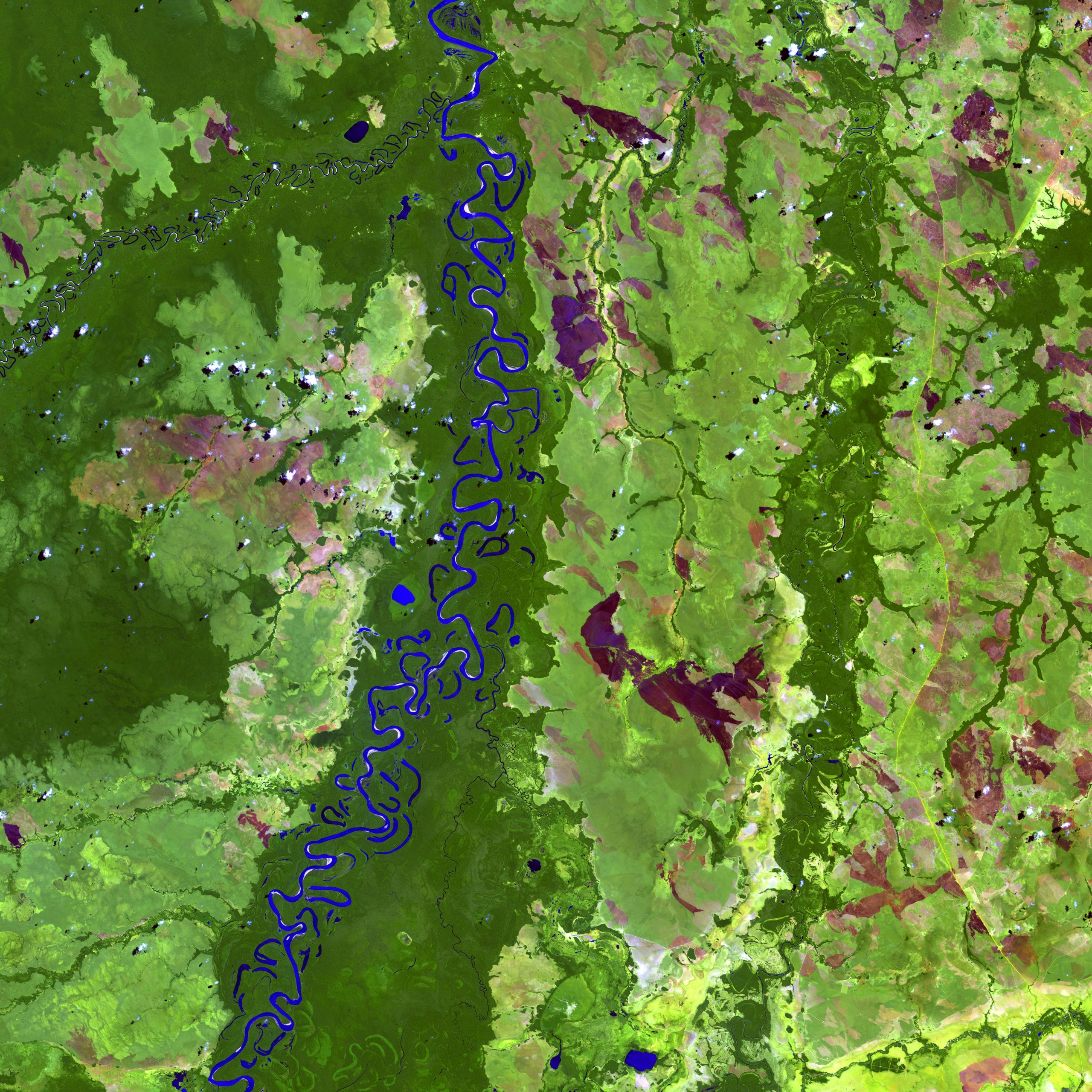 Satellite image of a green landscape with river course in strong colors, taken from space