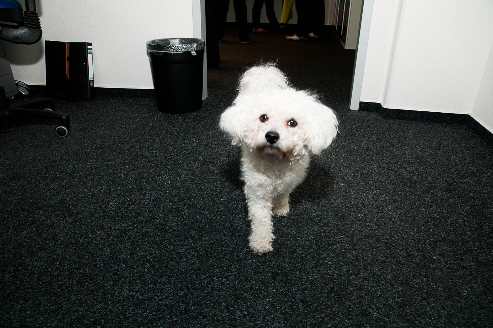 virtual7_20120308_0703