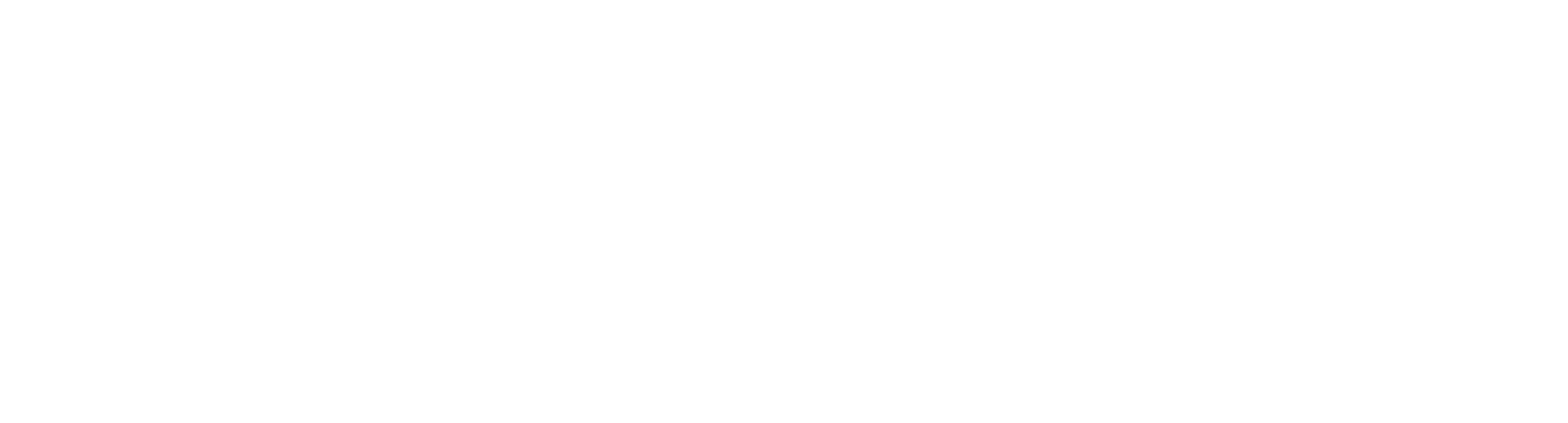Logo der Deutschen Rentenversicherung in Weiß auf transparentem Hintergrund