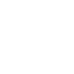 Logo des LDI (Landesinstitut für Digitale Information) in Weiß auf transparentem Hintergrund